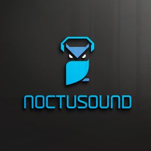 Lire la suite à propos de l’article Noctusound