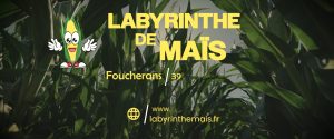 Lire la suite à propos de l’article Labyrinthe de maïs Foucherans 2023