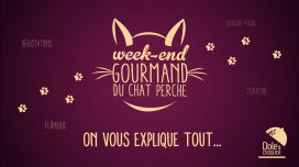 Les 10 commandements du week-end Gourmand du Chat Perché 2023